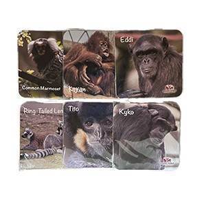 KYKO BEER COASTER